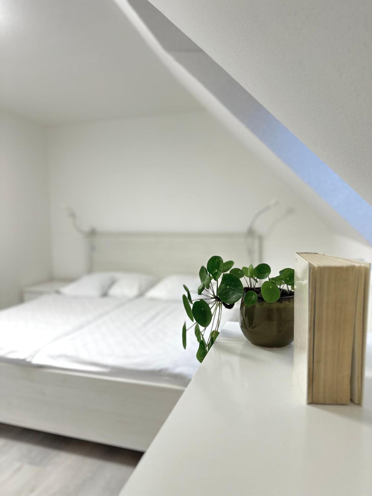 Apartment Nela Павчина-Легота Экстерьер фото